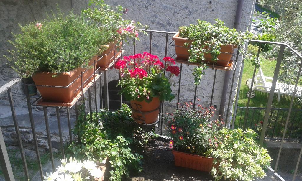 San Carlo Chiavenna Quarto foto